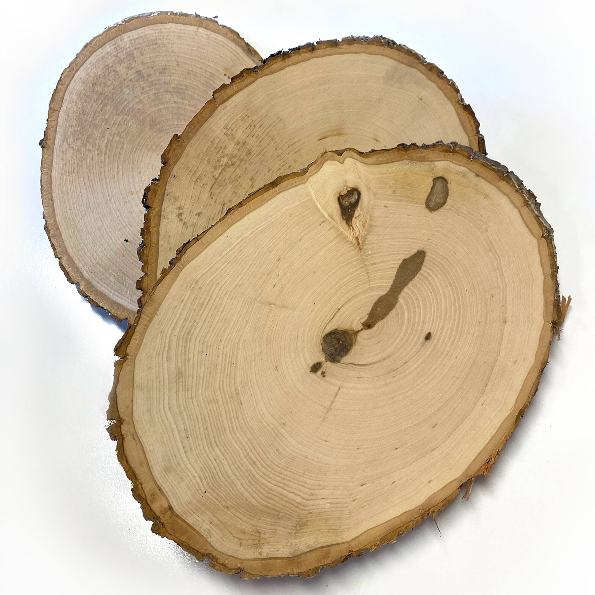 Wilson® Enterprises 30 Pack Medium Basswood Plaque Seconds